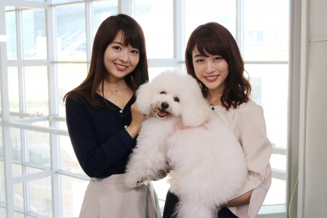 僕坂 看板犬のダイキチ 番組pr 今夜のテレ朝は に登場 Oricon News