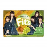 �O��46��Fit�fs�ƃR���{ �����ŏ����Ȃ�(?)�V���i2��ޔ��� 