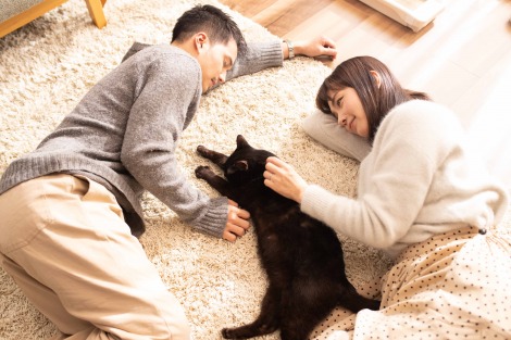 画像 写真 市原隼人主演 捨て猫に拾われた男 ドラマ化 猫が大好きに 2枚目 Oricon News