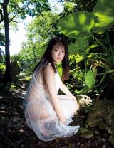 �g�u���C�N�����h���c�����A���r�L�j�~�V�[�X���[�ߑ��Ŕ������_��I 