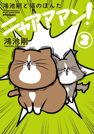 Twitterで人気の猫漫画 ぽんたニャアアアン の2年ぶり新作が2週連続1位 Oricon News