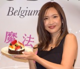 �S�f�B�o�A���̎���L�b�g���� 200����̃`���R���[�g�P�[�L 