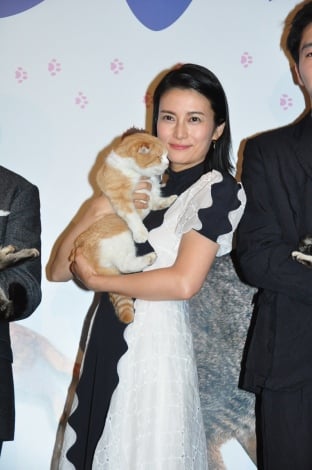 画像 写真 柴咲コウ 猫との生活明かす 幸せ 13枚目 Oricon News