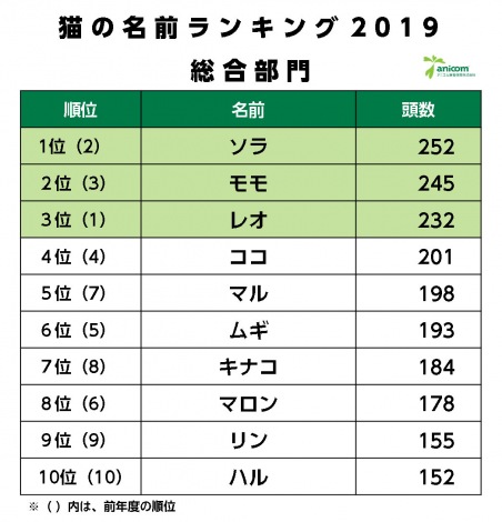 画像 写真 猫の名前ランキング 1位は ソラ 人気の名前はゲーム アニメ等ブームも影響 2枚目 Oricon News
