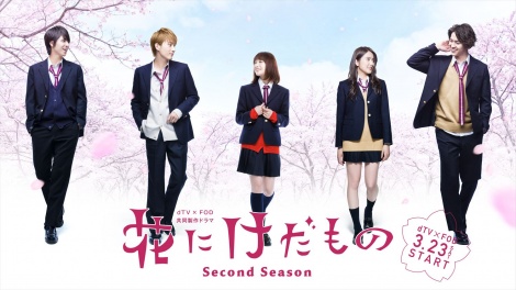 dTV~FODh}wԂɂ́`Second Season`x323zMJniCjGCxbNXʐM^tWerW 