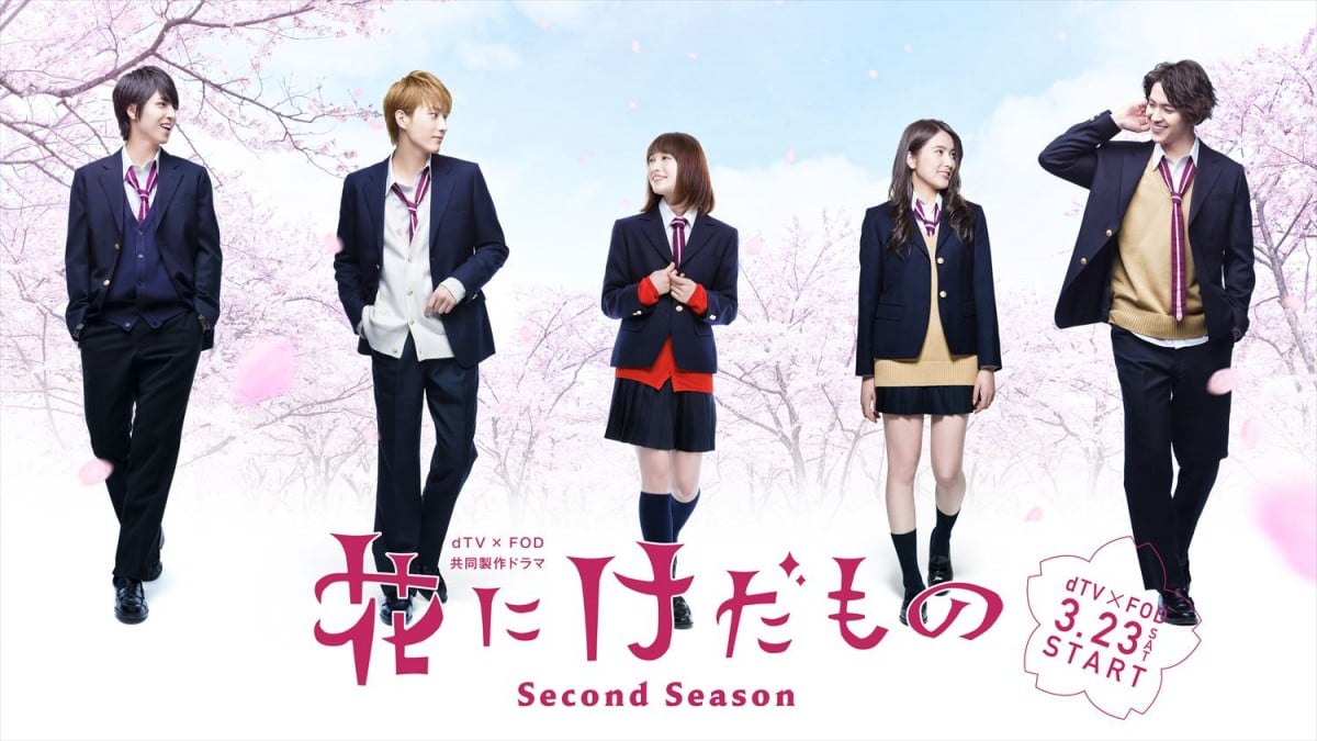 花にけだもの～Second Season～DVD-BOX | HMV&BOOKS online