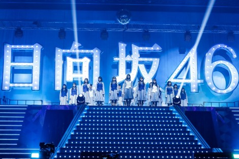 画像・写真