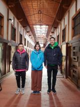 �w�����x�V�[�Y��15�̏�ʃJ�b�g �iC�j���{�e���r 