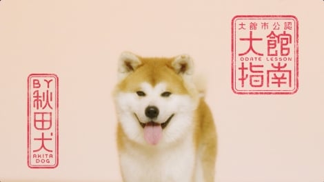 WEB動画「秋田犬が大館の魅力を指南?“Odate Lesson by Akita Dog”」より 