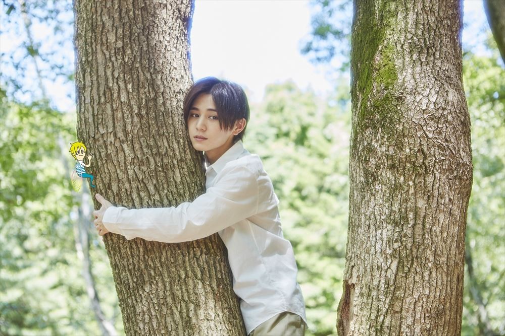 セミオトコ　Hey!Say!JUMP 山田涼介　ドラマ　DVD セミオトコ DVD-BOX/山田涼介
