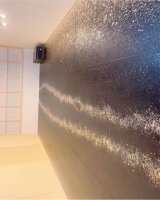 画像 写真 アレクサンダー 2億円超え 川崎希との新居公開 大豪邸 すごいのんちゃん御殿 6枚目 Oricon News