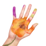 �i�I�g��C���e�B���C�~�z�M�V���O����ԣ 