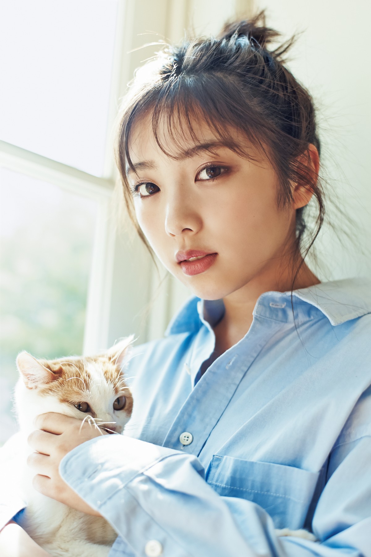 画像・写真 | 乃木坂46白石麻衣が浴衣姿、与田祐希は猫との2