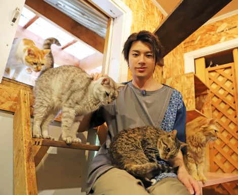 山田裕貴が もふもふ猫まみれ 子猫を抱いてウットリ Oricon News