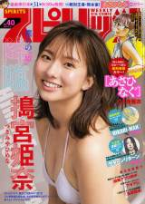 �w�T���r�b�O�R�~�b�N�X�s���b�c�x40���\�� 