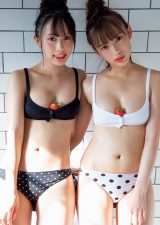 �n�[�t���l�o�q�g����肦��h�w�T�v���x�O���r�A�f�r���[ �o�X�g�ɃC�`�S������Łc 