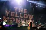 A[icA[NJ3h[cA[֌THE YELLOW MONKEY@Photo by n糈ꐶ 