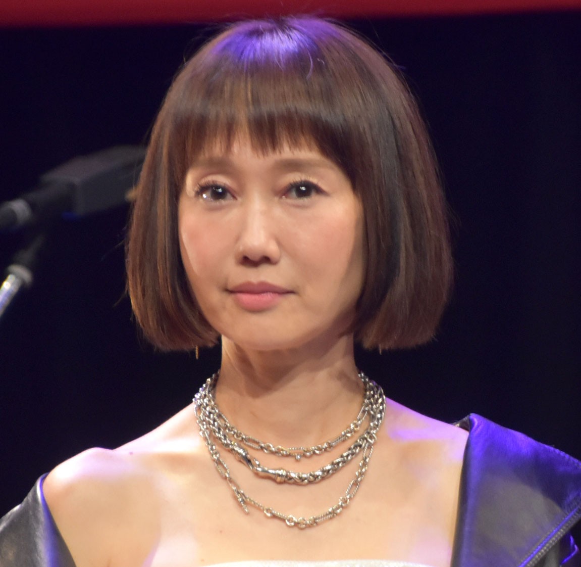 堀ちえみアイコラ 