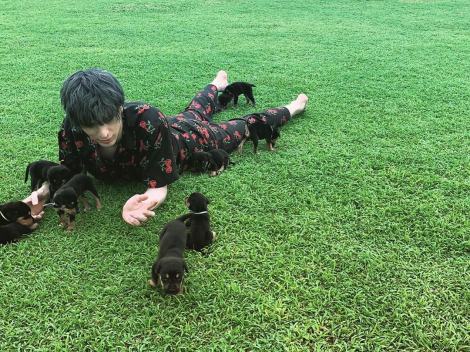 画像 写真 城田優 8匹の子犬とたわむれ なんちゅーかわええ生き物や 5枚目 Oricon News