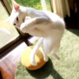 �����������ɒ���ԔL�H SNS�Ől�C�̔L�����́u���ہ����s���v�ɂق����� 