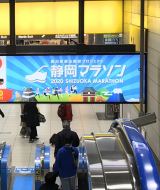 �É��}���\���J�Ò��~�A�V�^�R���i�̉e���� �Q�����͋K��Ɋ�Â��ԋ����� 