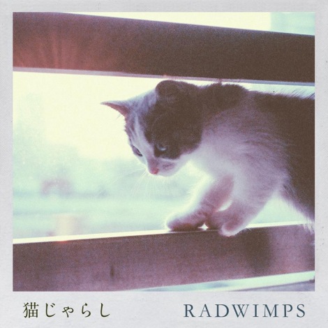 Radwimps 最新曲 猫じゃらし がデジタルシングル1位 深田恭子出演 午後の紅茶 Cmソングで話題 オリコンランキング Oricon News