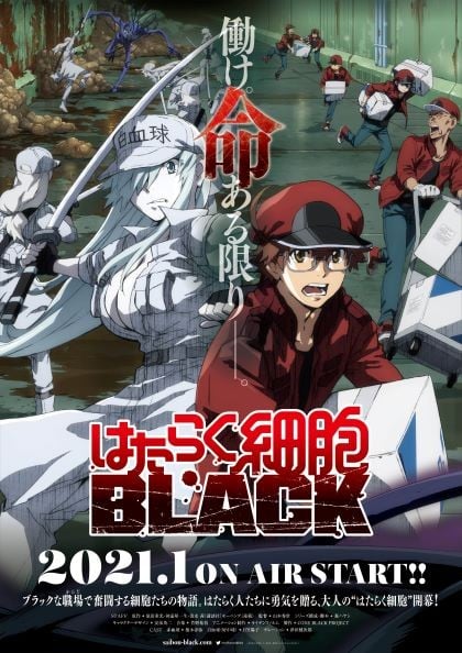 はたらく細胞BLACK』2021年1月TVアニメ化決定 赤血球役に榎木淳弥