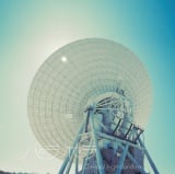 4/27�t�T�ԃf�W�^���V���O���i�P�ȁj�����L���O1�ʂ�Official�E�jdism�́u�p���{���v 