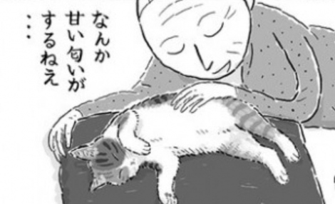 熟年夫婦に活力を与える保護猫 道端に捨てられていた猫の成長 癒される2つの ほのぼの猫漫画 に反響 Oricon News