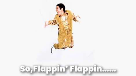 VȁuHoppin' Flappin'v𔭕\sRY 