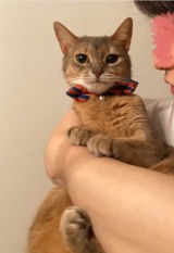 画像 写真 桃 婚約者とのウェディングフォト撮影 ついに今週入籍する予定です 5枚目 Oricon News