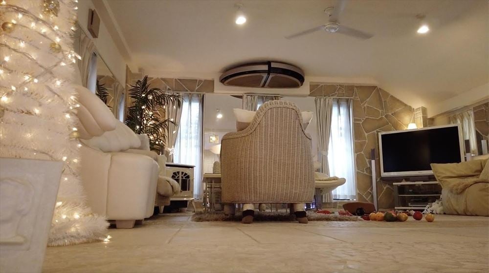 `[Y͂ǂ!? ̈ꉭ@ɐ=720wdClY~ƃ`[YD_ `D_[!n10cm̂K`x(C)er 