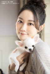 ���q�B�A�ŐV�t�H�g�u�b�N12�E25���� ���e�A�[�g�A�G�A�K���Ȃǂɒ��킷��p 