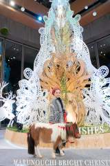 丸の内エリア『Marunouchi Bright Christmas 2020 〜LOVE ＆ WISHES〜』クリスマスツリー点灯式に登壇したMISIA （C）Santin Aki 