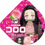 �w�S�ł̐n�x�O�~�w�R���� �S����s�[�`���x25������ �p�b�P�[�W��2��� 