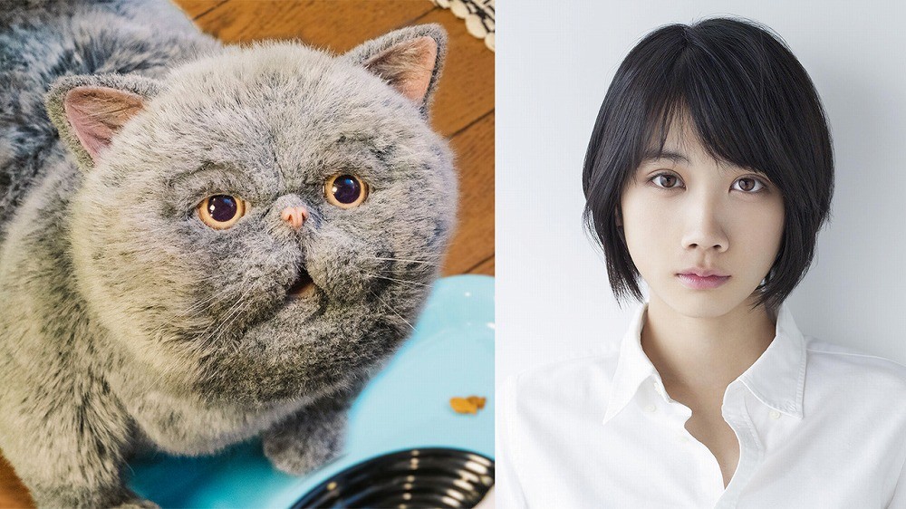 Amazon.co.jp: おじさまと猫 DVD-BOX : 草刈正雄, 神木隆之介(声