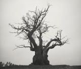 SEKAI NO OWARI �wSEKAI NO OWARI 2010-2019�x�i�g�C�Y�t�@�N�g���[�^2��10�������j 