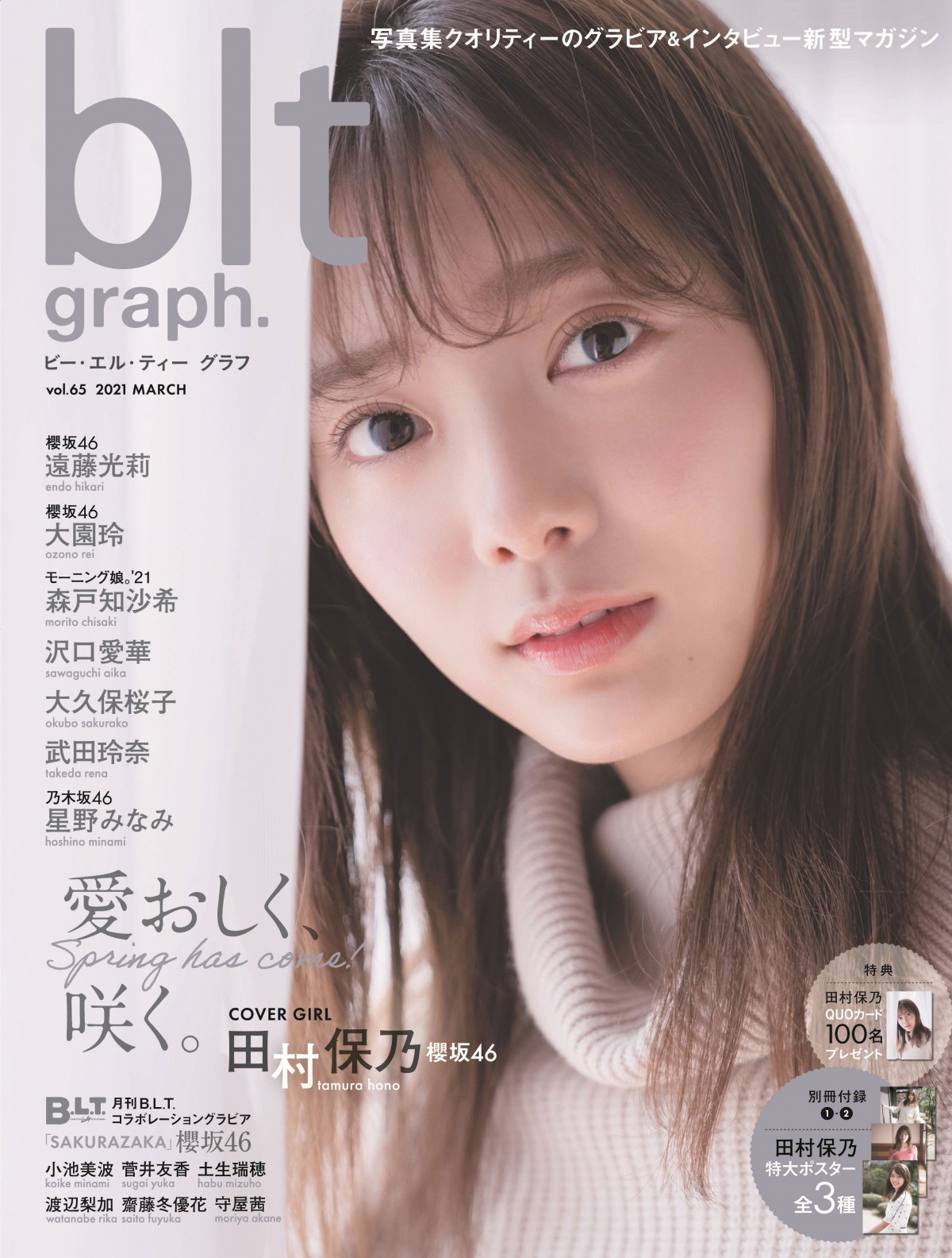 乃木坂 日向坂 欅坂 櫻坂 写真集・雑誌など - アート/エンタメ