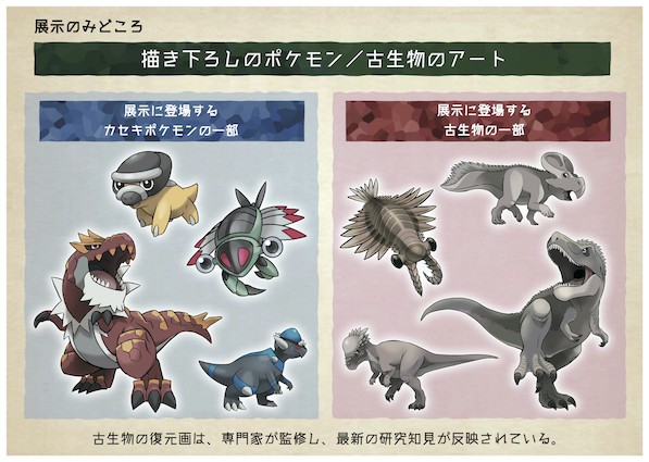 画像・写真 | 『ポケモン化石博物館』今夏より開催 ポケモンの