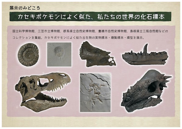 画像・写真 | 『ポケモン化石博物館』今夏より開催 ポケモンの骨格 ...