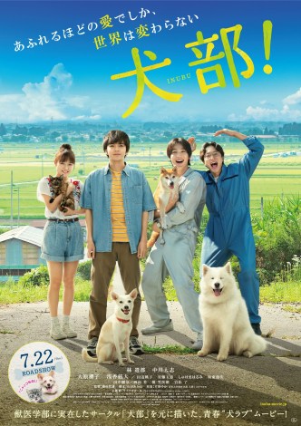 林遣都主演 犬部 動物たちへの愛があふれる映像初解禁 Oricon News