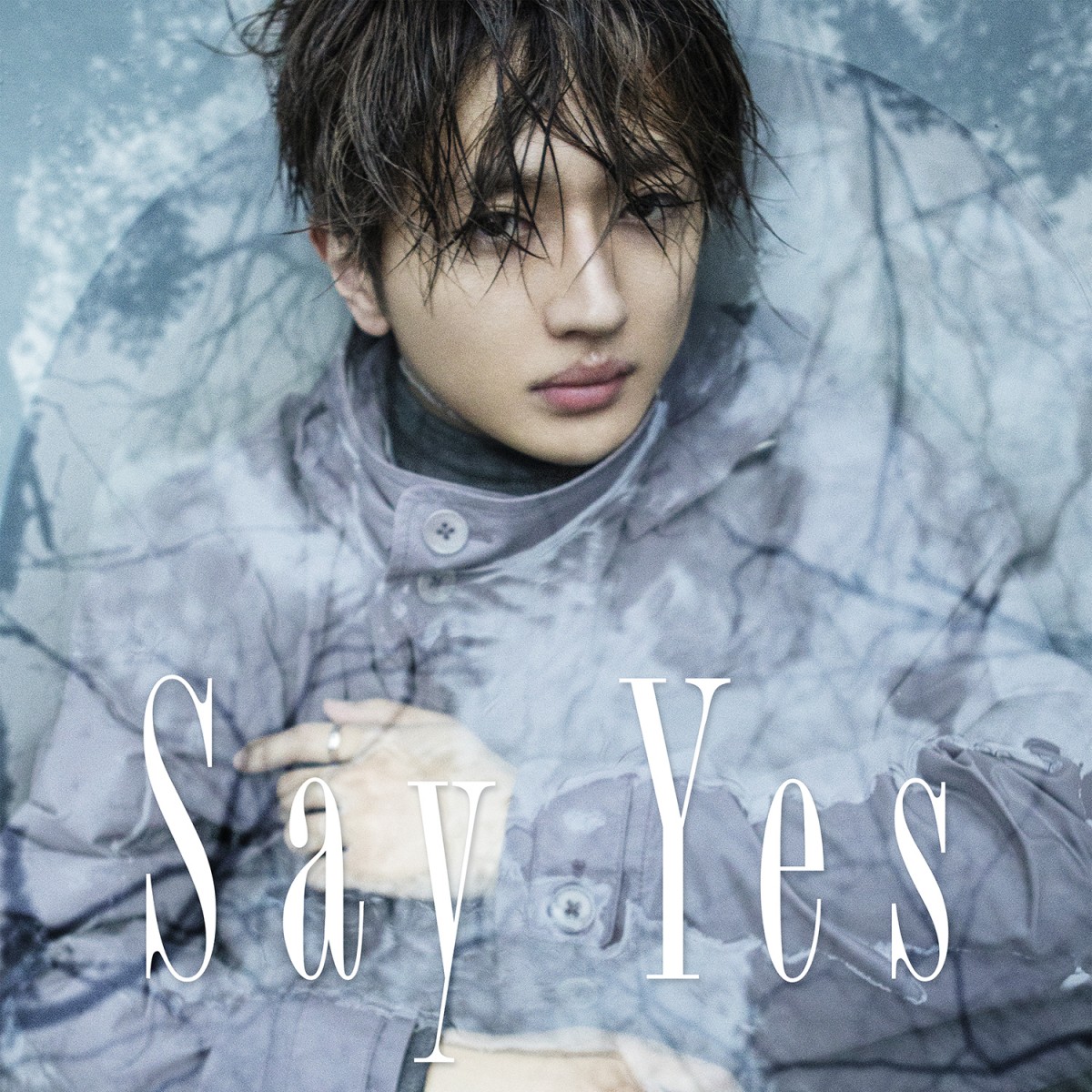ミュージシャン Nissy Nissy