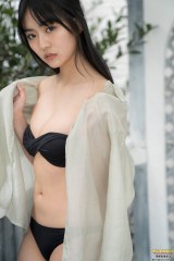 �L�c���i�A���r�L�j&���[�X�f�ނŖ�����g�J���C�C�ƃJ�b�R�C�C�h 