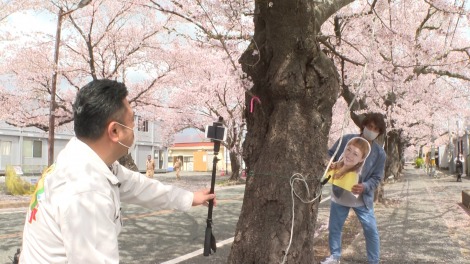 画像 写真 ザキヤマの 帰省代行バラエティー 若槻千夏が絶賛 手を抜かない姿勢がすごい 7枚目 Oricon News