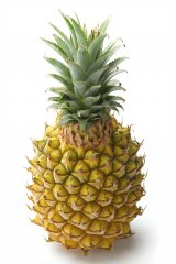 ��������1%�̋H���ȁu���ꌧ�Y�p�C���v���C�I���Œ񋟁A�c�܂ŐH�ׂ���{�Ȗ��킢 