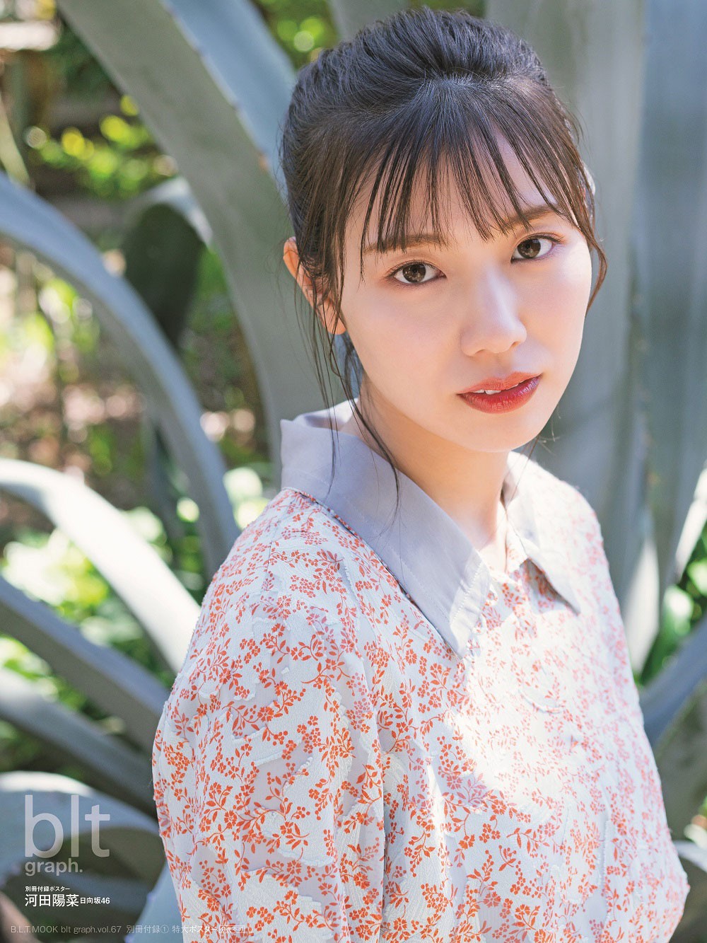 日向坂46 河田陽菜 blt graph. サイン入り - メルカリ｜写真・チェキ