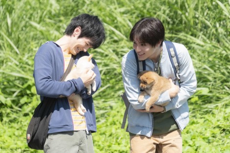 林遣都主演 犬部 上海国際映画祭出品決定 場面写真10点が解禁 Oricon News