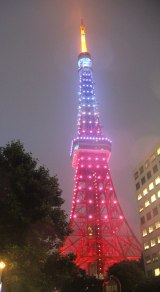 画像 写真 東京タワーが キキ ララ 色に点灯 一夜限定で鮮やかなピンクと水色に 2枚目 Oricon News