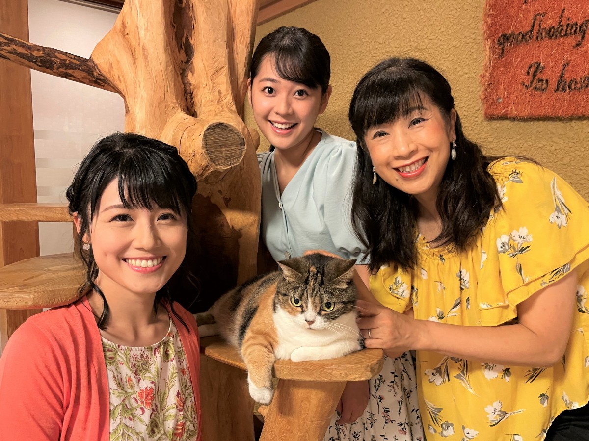 丸純子 