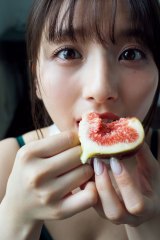 ��a�c��߁A�ϑz�~�����Ă�g�V���n�O���r�A�h ���]�ԁA���{���A�����Ƃ艐�₩�c 